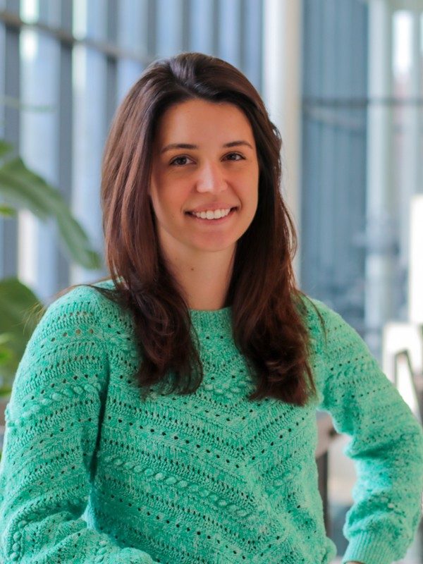 Dominique Villani